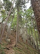 P6130125.JPG