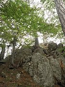 P6130127.JPG