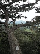 P6130128.JPG