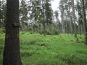 P6130139.JPG