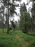 P6130140.JPG