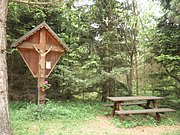 P6130142.JPG