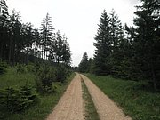 P6130146.JPG