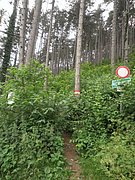 P6130153.JPG