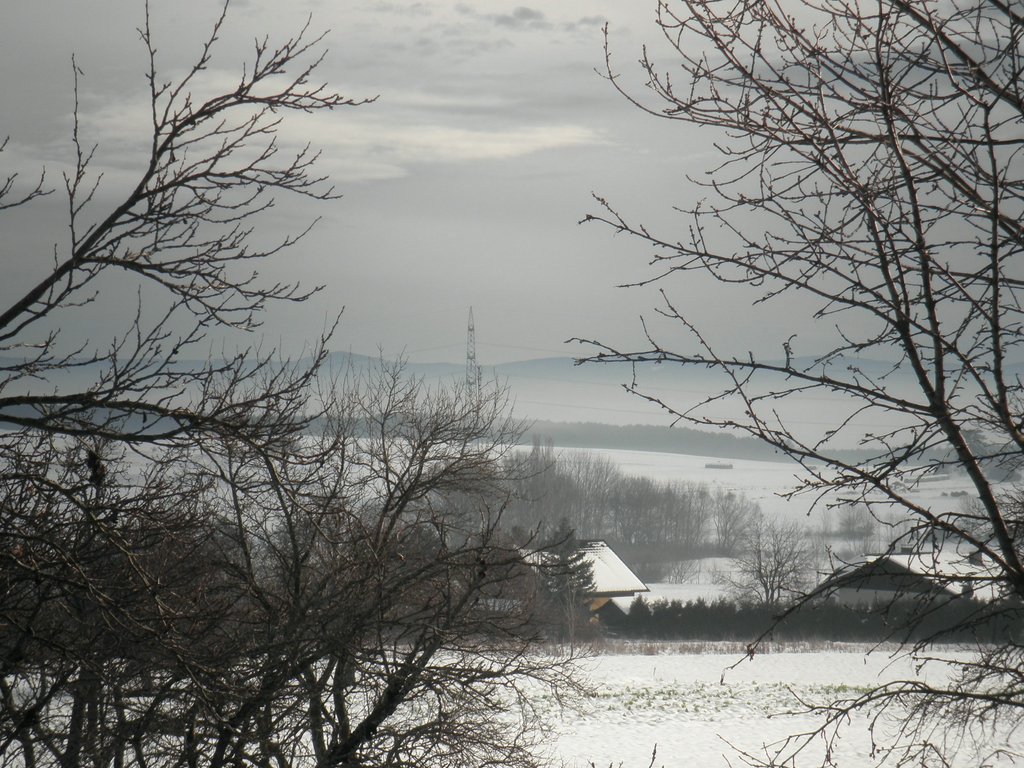 PC080002.JPG