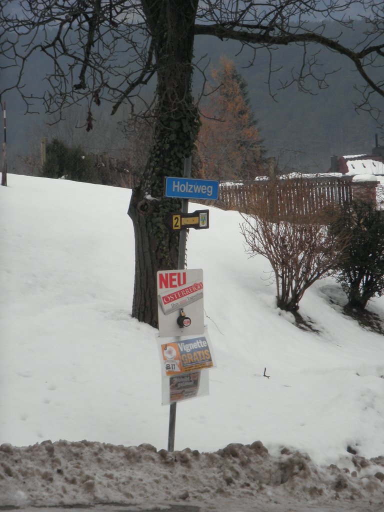 PC080005.JPG
