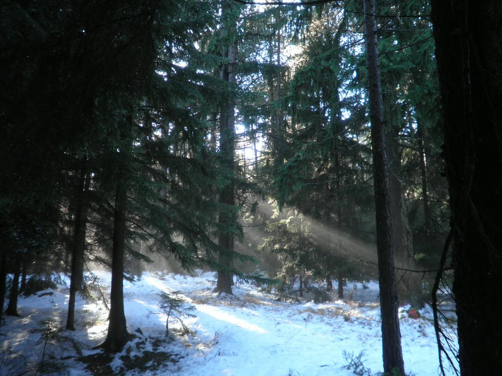 PC080014.JPG