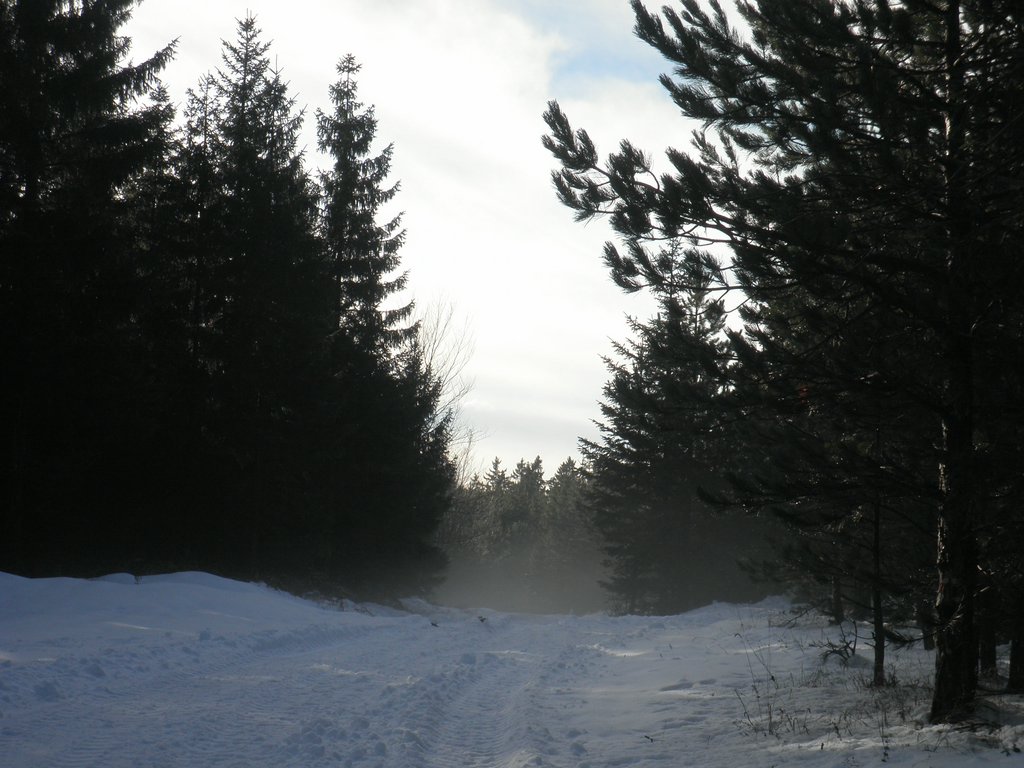 PC080020.JPG