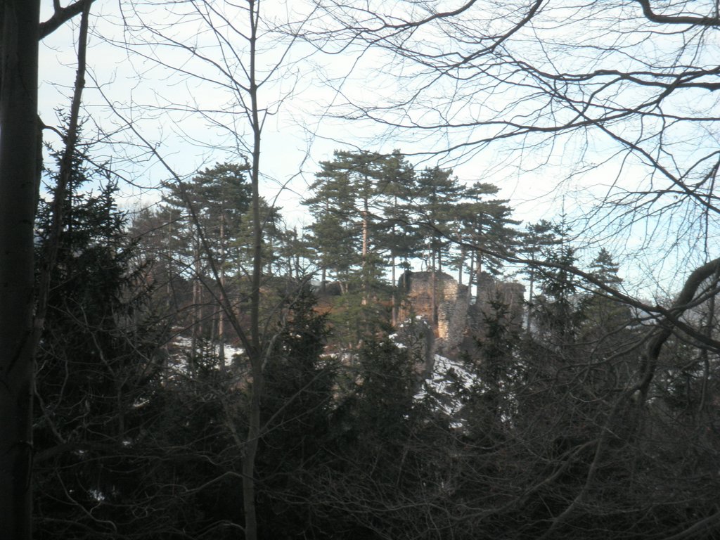 PC080025.JPG