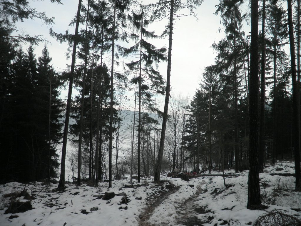 PC080026.JPG