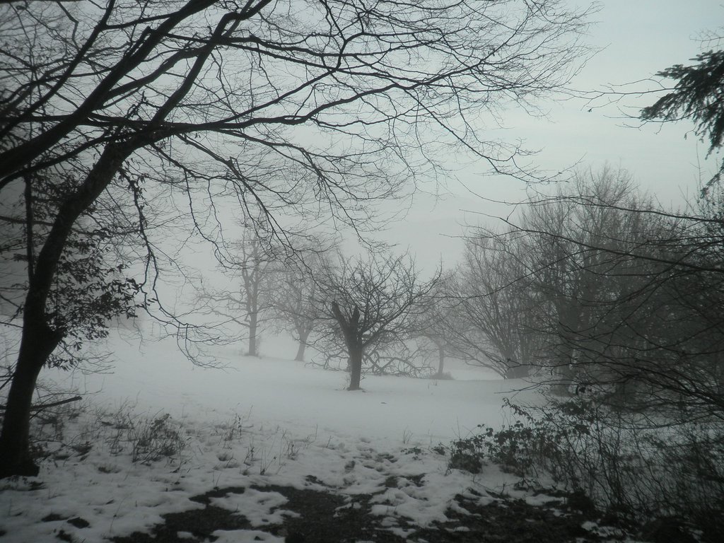 PC080027.JPG