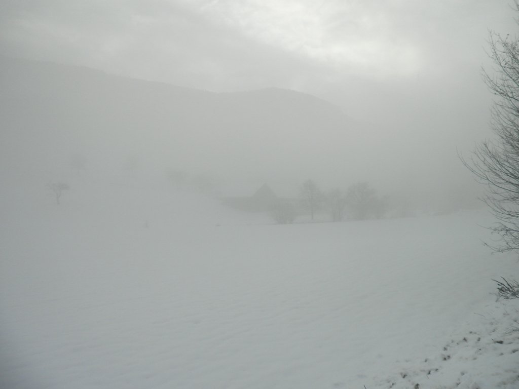 PC080031.JPG