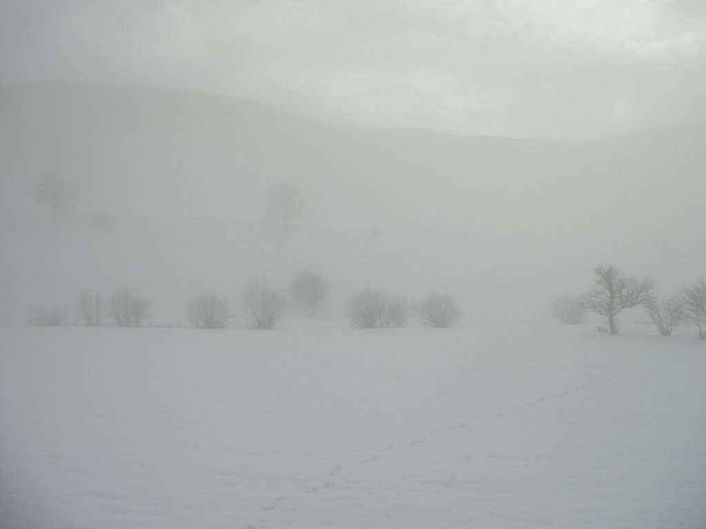 PC080032.JPG