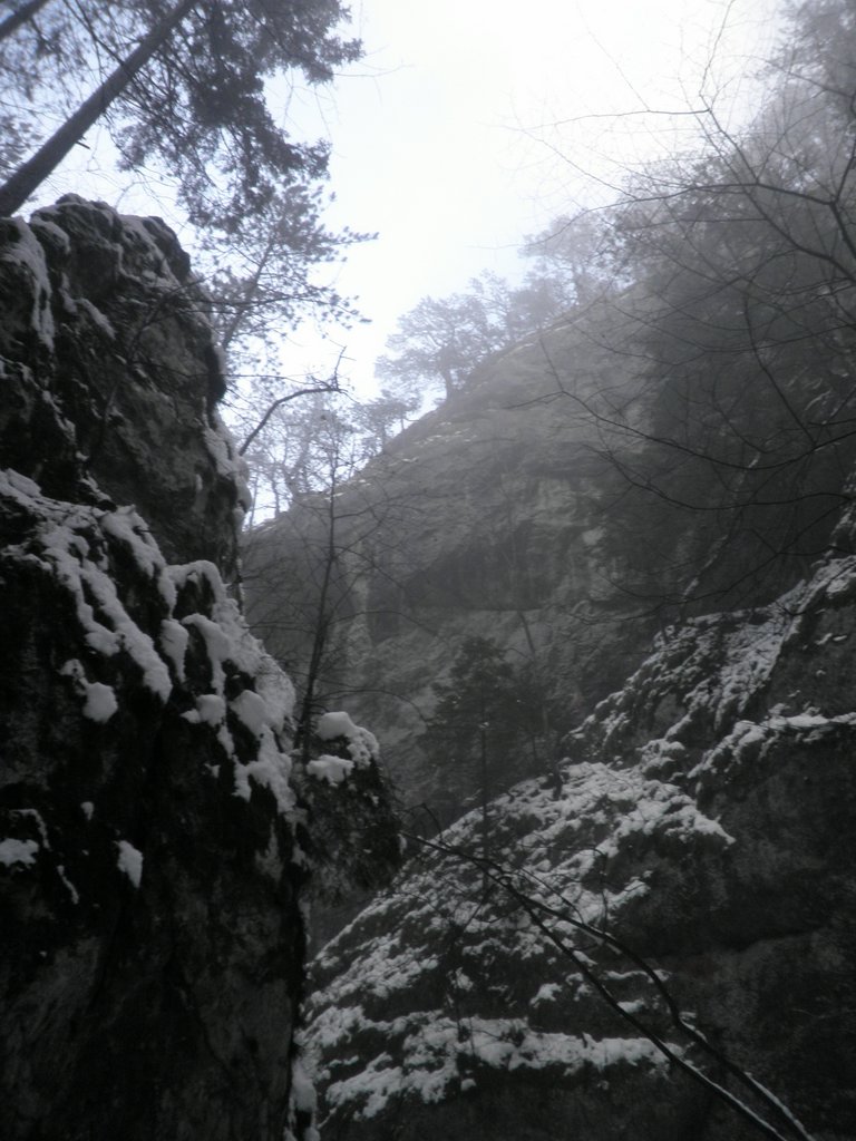PC080056.JPG