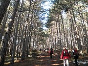 PC080010.JPG