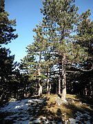 PC080013.JPG
