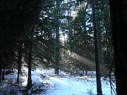 PC080014.JPG