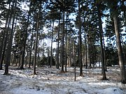 PC080017.JPG