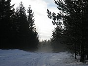 PC080020.JPG
