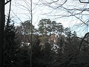 PC080025.JPG
