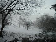 PC080027.JPG