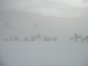 PC080032.JPG
