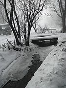 PC080036.JPG