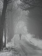 PC080037.JPG