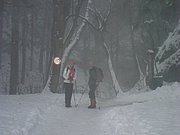 PC080054.JPG
