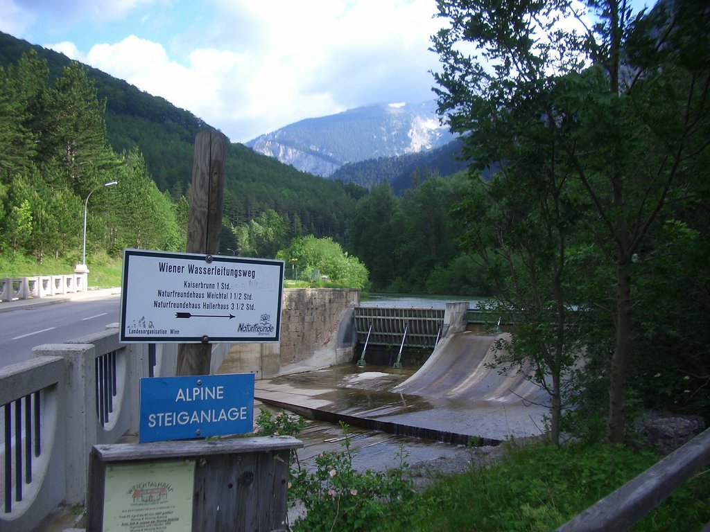 CIMG5530.JPG