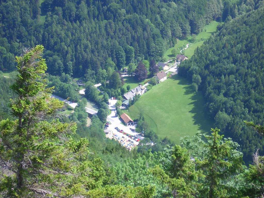 CIMG5561.JPG
