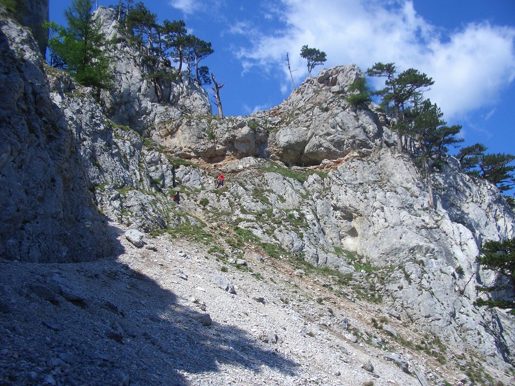 CIMG5568.JPG
