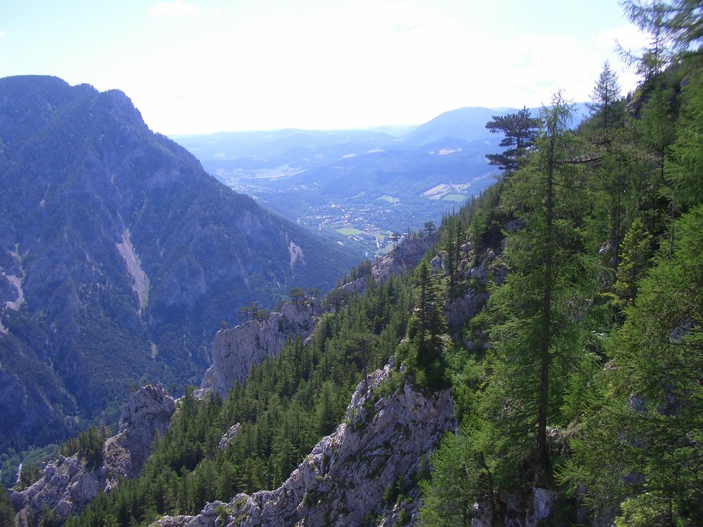 CIMG5574.JPG