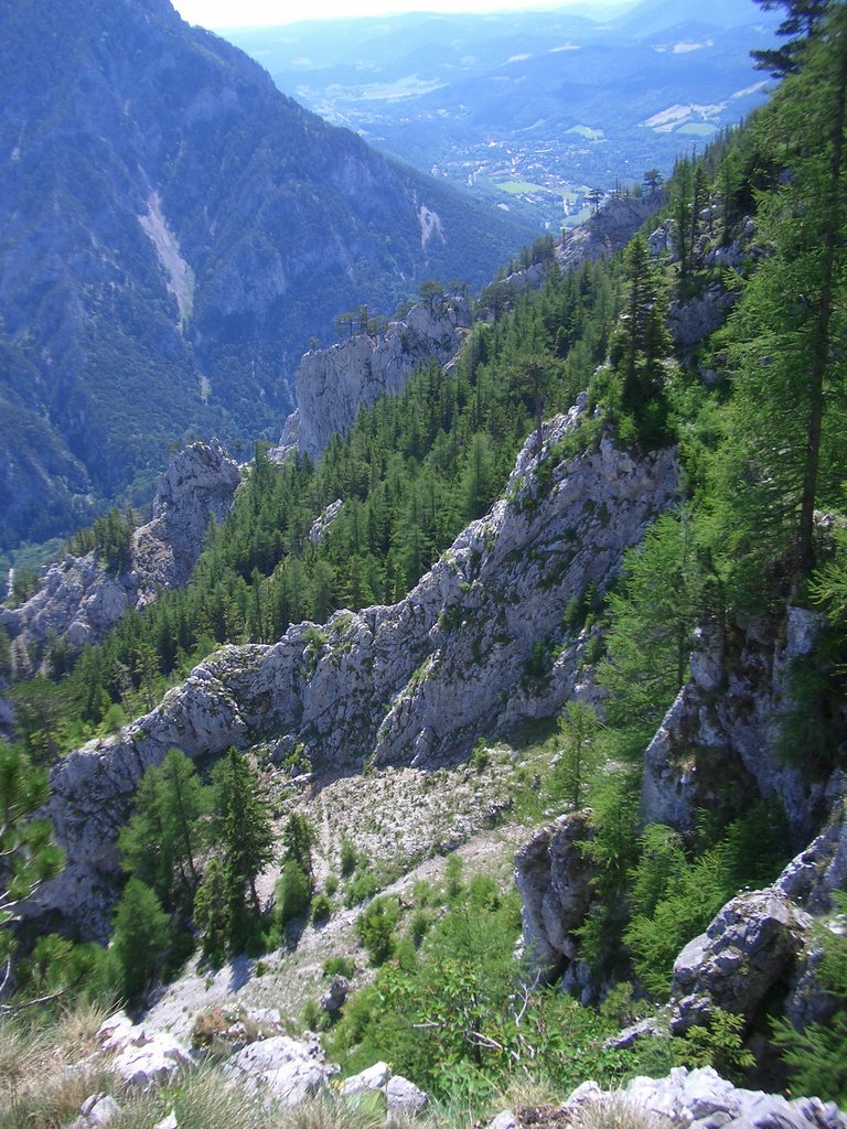 CIMG5575.JPG