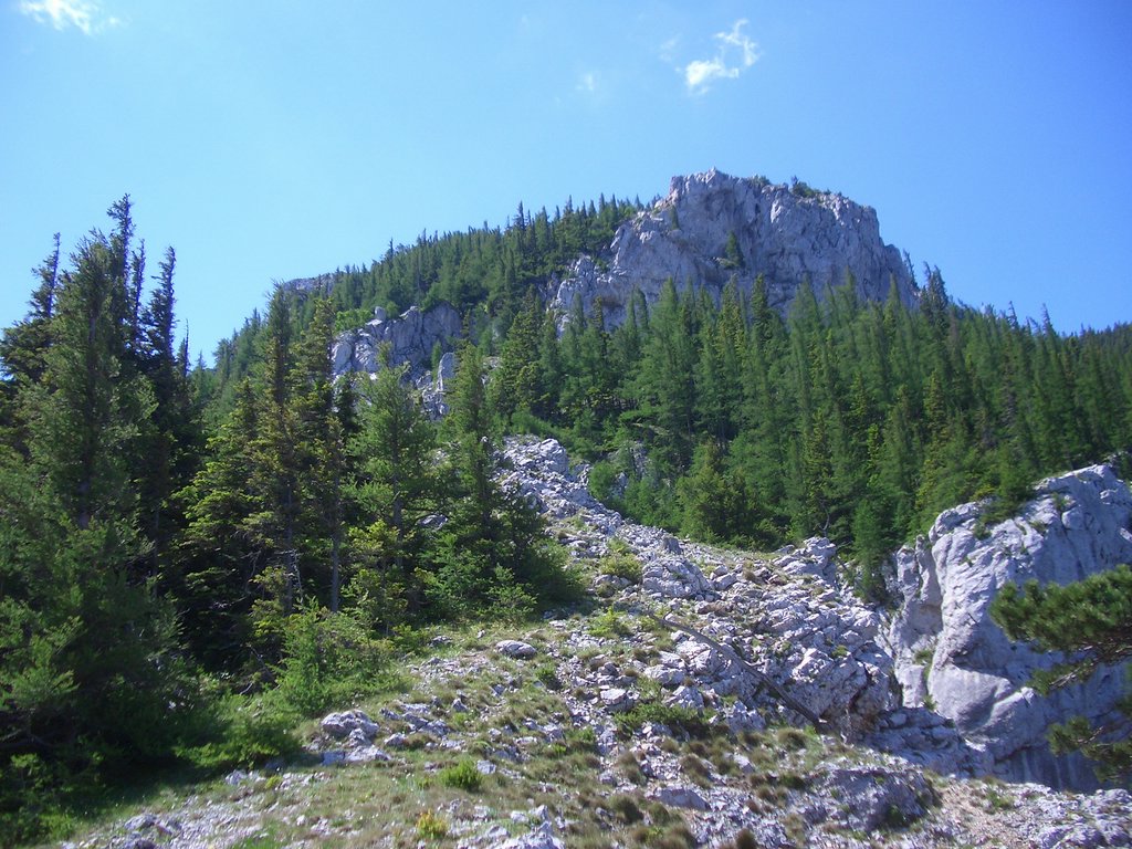CIMG5577.JPG