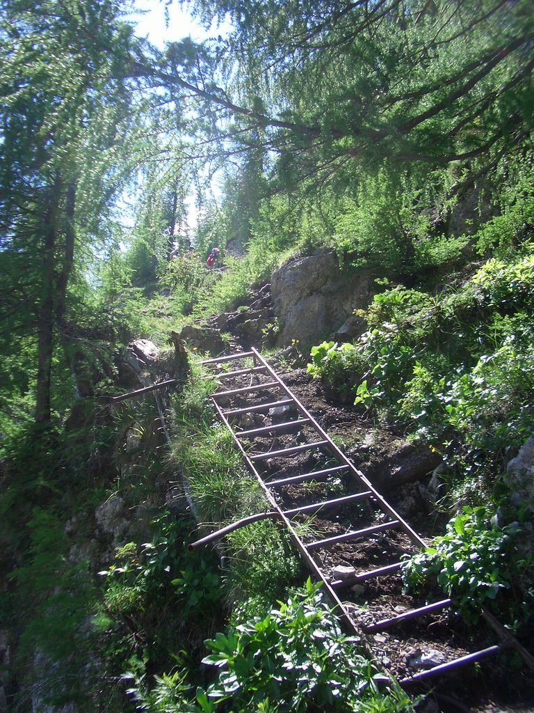 CIMG5579.JPG