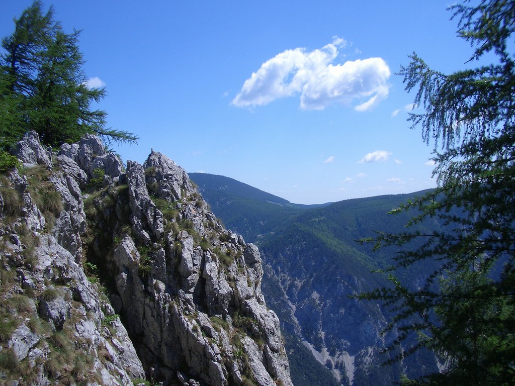 CIMG5583.JPG