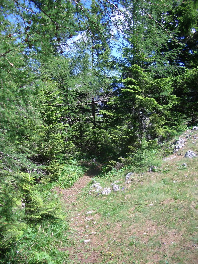 CIMG5584.JPG
