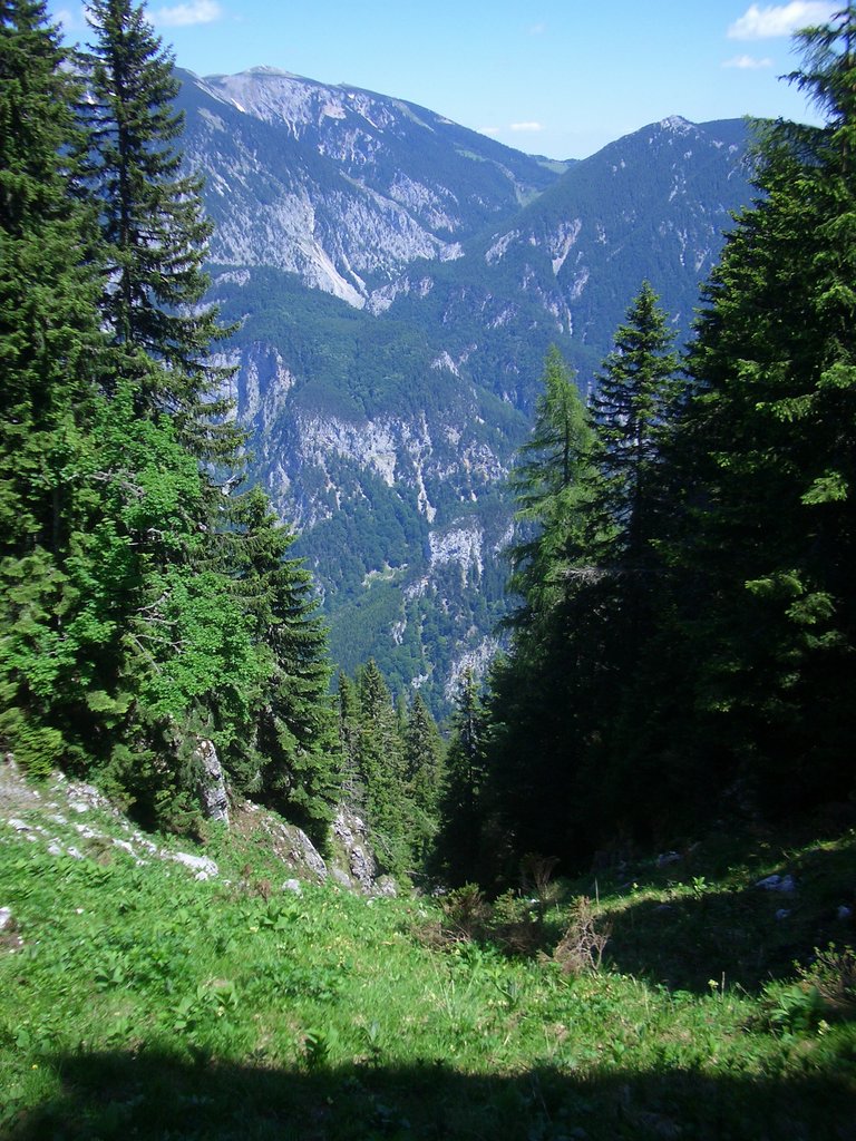 CIMG5605.JPG