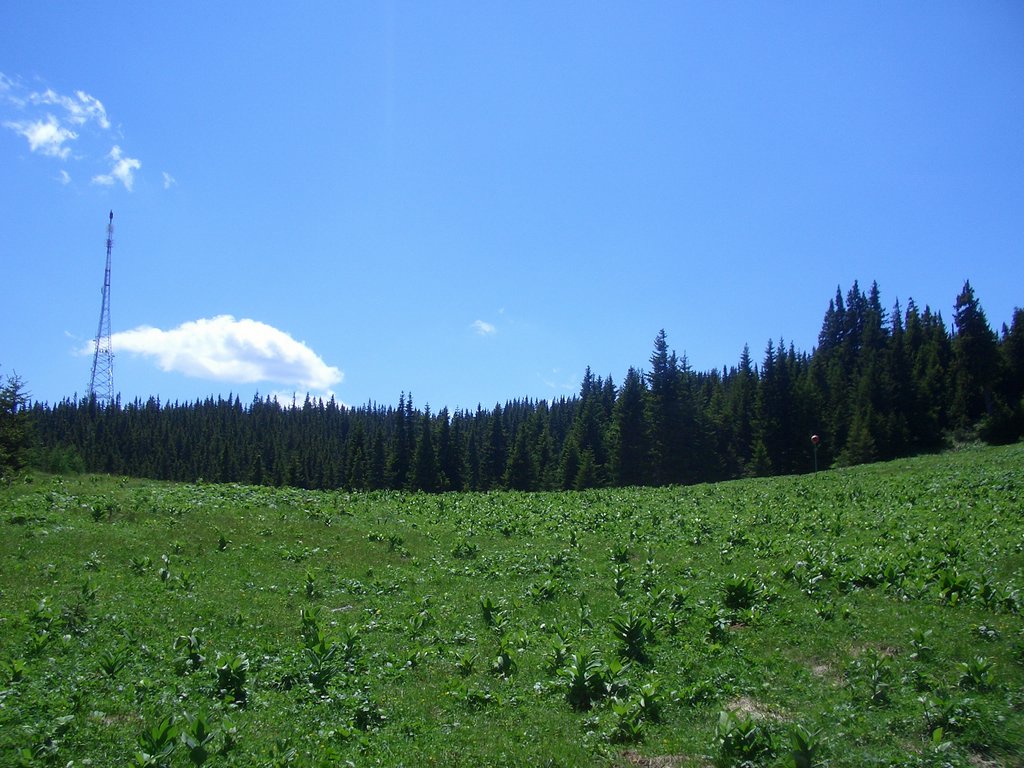 CIMG5607.JPG
