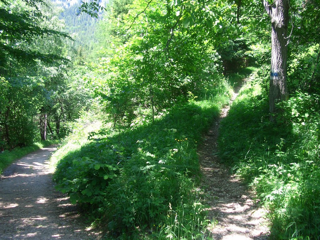 CIMG5619.JPG
