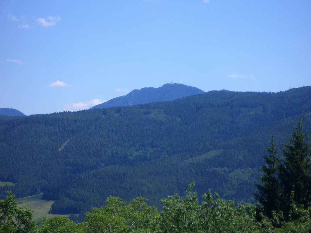 CIMG5624.JPG