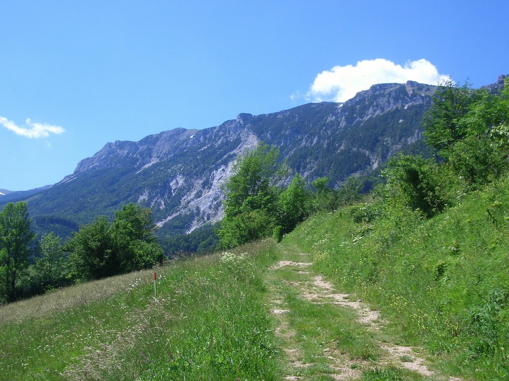 CIMG5625.JPG