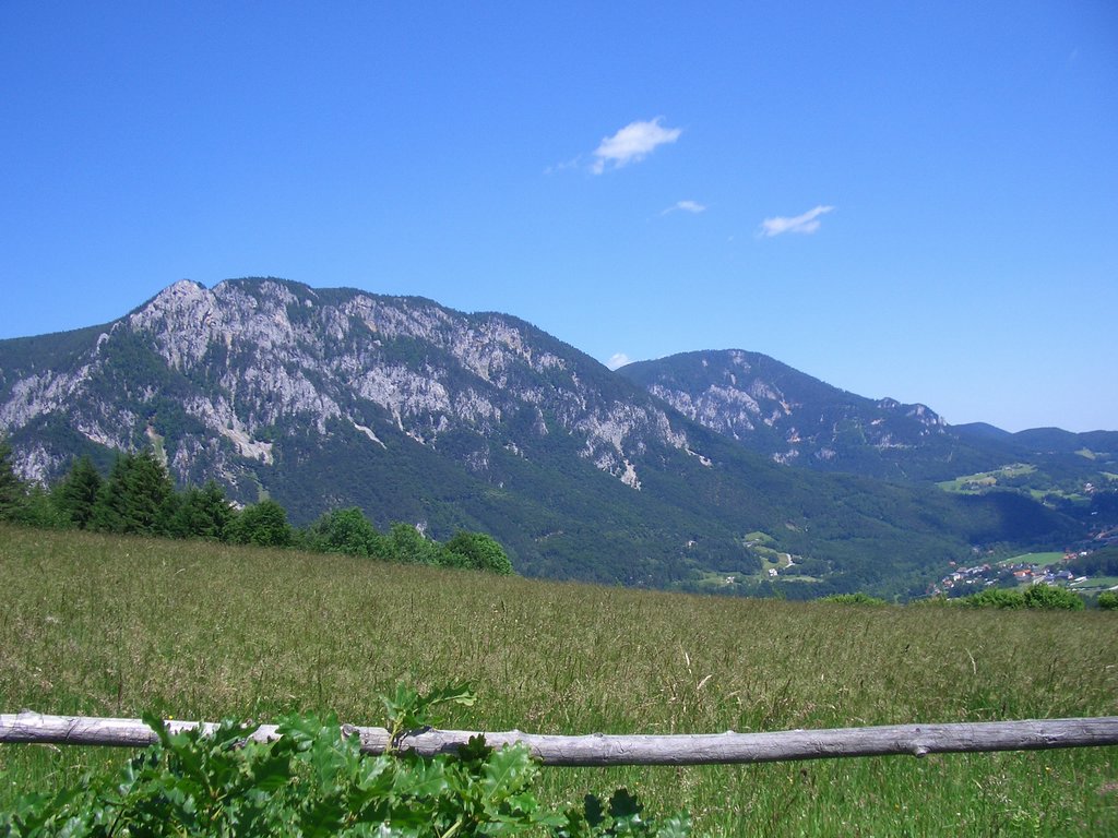 CIMG5629.JPG