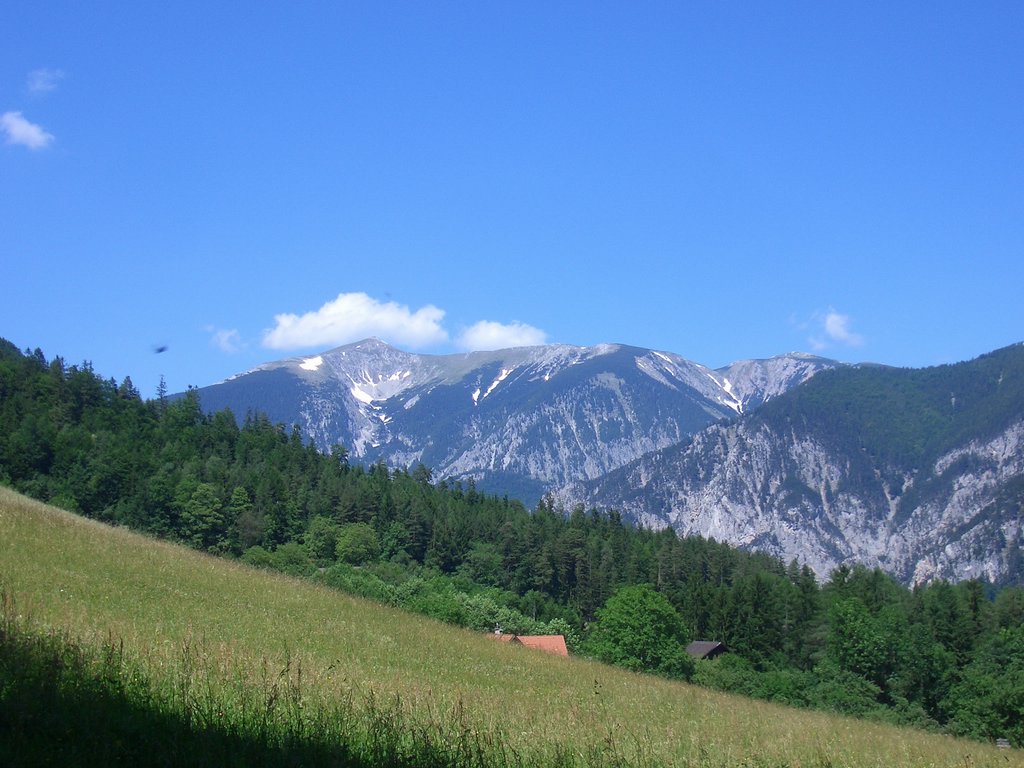 CIMG5635.JPG