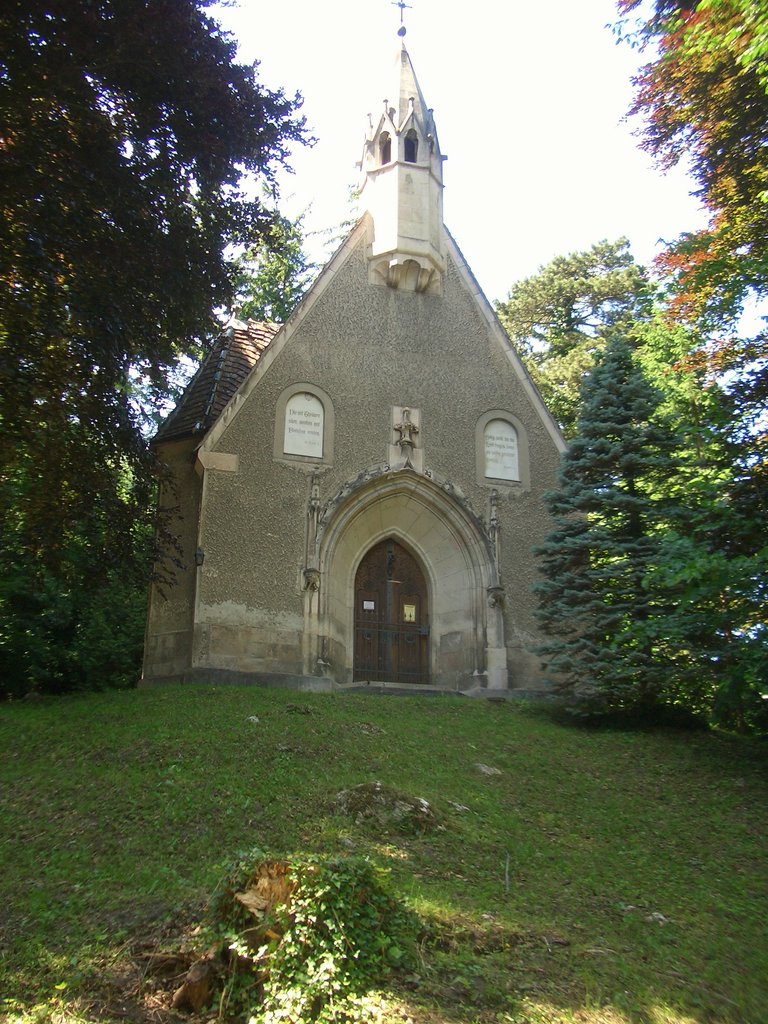 CIMG5642.JPG