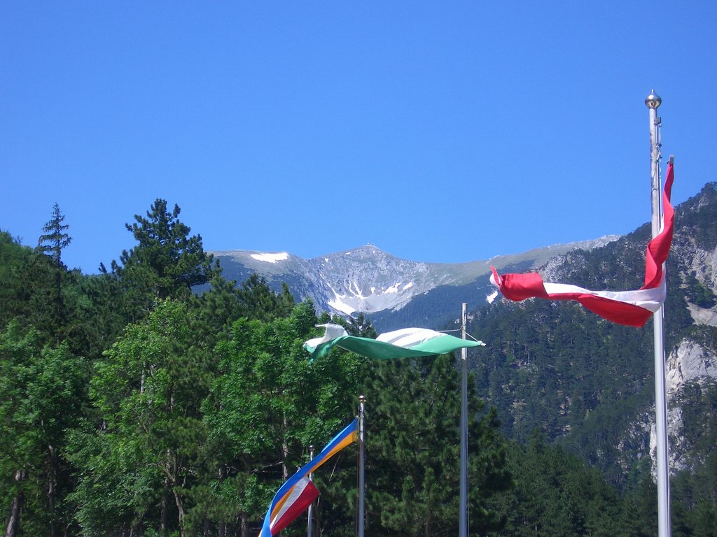 CIMG5651.JPG