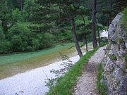 CIMG5535.JPG