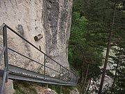 CIMG5542.JPG