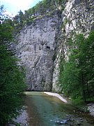 CIMG5549.JPG